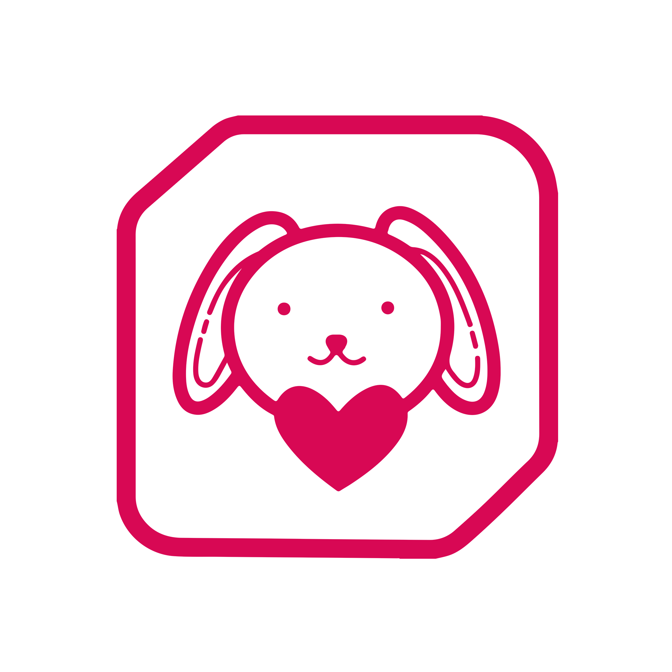 CRUELTY FREE