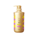 ICHIKAMI Damage & Color Care Shampoo A